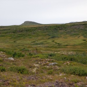 Hilltop at L'Anse aux Meadows