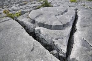 burren triangle with circle