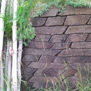 Peat bricks