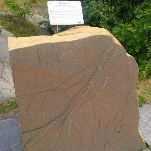 striation lines in a chunk of Peridotite